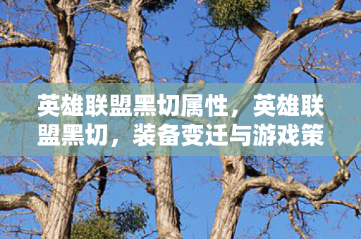 英雄联盟黑切属性,英雄联盟黑切,装备变迁与游戏策略的深度解析 英雄联盟黑切属性,英雄联盟黑切,装备变迁与游戏策略的深度解析