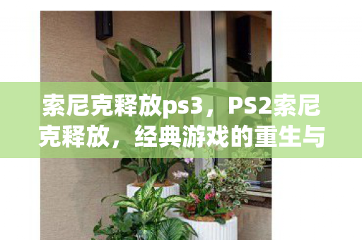 索尼克释放ps3，PS2索尼克释放，经典游戏的重生与传承