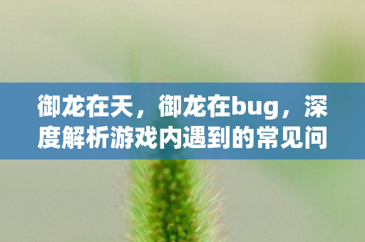 御龙在天，御龙在bug，深度解析游戏内遇到的常见问题及解决方案