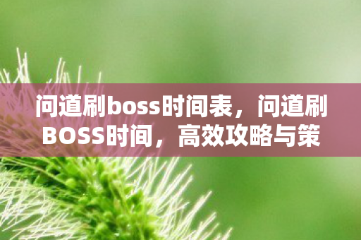 问道刷boss时间表,问道刷BOSS时间,高效攻略与策略分享 问道刷boss时间表,问道刷BOSS时间,高效攻略与策略分享