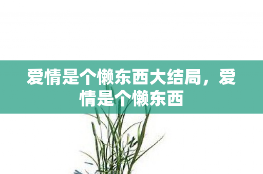 爱情是个懒东西大结局,爱情是个懒东西 爱情是个懒东西大结局,爱情是个懒东西