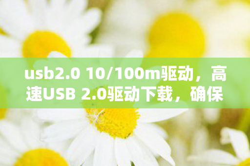 usb2.0 10/100m驱动,高速USB 2.0驱动下载,确保设备高效运行的必备步骤 usb2.0 10/100m驱动,高速USB 2.0驱动下载,确保设备高效运行的必备步骤