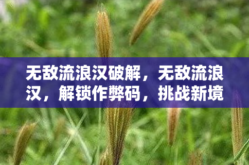 无敌流浪汉破解,无敌流浪汉,解锁作弊码,挑战新境界 无敌流浪汉破解,无敌流浪汉,解锁作弊码,挑战新境界