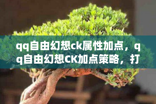 qq自由幻想ck属性加点,qq自由幻想CK加点策略,打造高效战斗角色 qq自由幻想ck属性加点,qq自由幻想CK加点策略,打造高效战斗角色