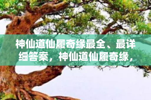 神仙道仙履奇缘最全、最详细答案，神仙道仙履奇缘，探索未知世界的奇幻之旅