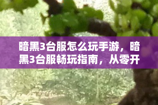 暗黑3台服怎么玩手游,暗黑3台服畅玩指南,从零开始的冒险之旅 暗黑3台服怎么玩手游,暗黑3台服畅玩指南,从零开始的冒险之旅