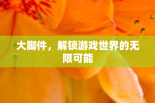 大脚件,解锁游戏世界的无限可能 大脚件,解锁游戏世界的无限可能
