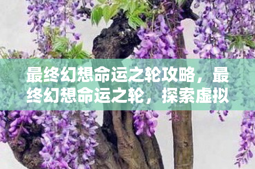 最终幻想命运之轮攻略，最终幻想命运之轮，探索虚拟世界的无限可能