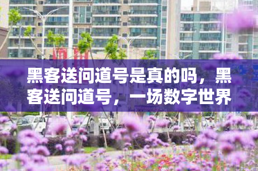 黑客送问道号是真的吗,黑客送问道号,一场数字世界的神秘馈赠 黑客送问道号是真的吗,黑客送问道号,一场数字世界的神秘馈赠
