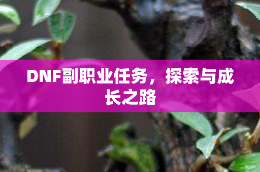 DNF副职业任务,探索与成长之路 DNF副职业任务,探索与成长之路