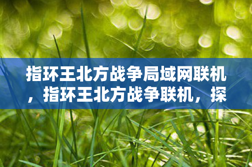 指环王北方战争局域网联机,指环王北方战争联机,探索虚拟世界的无尽战斗 指环王北方战争局域网联机,指环王北方战争联机,探索虚拟世界的无尽战斗