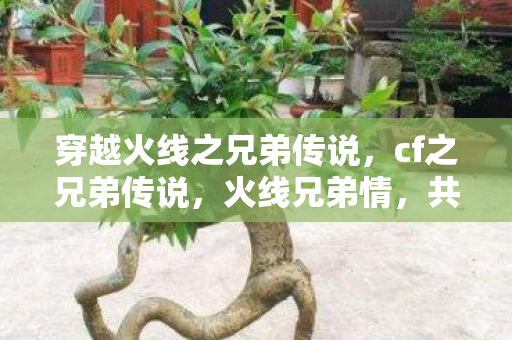 穿越火线之兄弟传说,cf之兄弟传说,火线兄弟情,共赴荣耀战 穿越火线之兄弟传说,cf之兄弟传说,火线兄弟情,共赴荣耀战