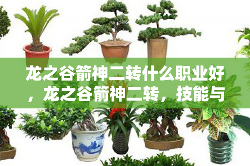 龙之谷箭神二转什么职业好,龙之谷箭神二转,技能与策略的深度解析 龙之谷箭神二转什么职业好,龙之谷箭神二转,技能与策略的深度解析