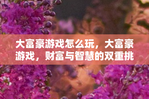 大富豪游戏怎么玩,大富豪游戏,财富与智慧的双重挑战 大富豪游戏怎么玩,大富豪游戏,财富与智慧的双重挑战