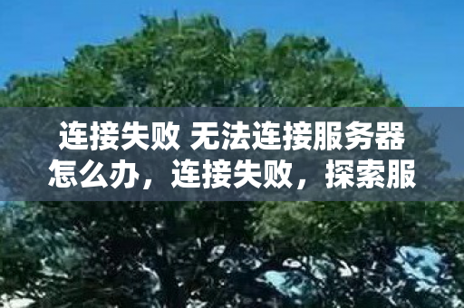 连接失败 无法连接服务器怎么办,连接失败,探索服务器连接问题的背后 连接失败 无法连接服务器怎么办,连接失败,探索服务器连接问题的背后