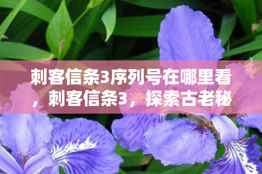 刺客信条3序列号在哪里看，刺客信条3，探索古老秘密的钥匙