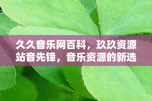 久久音乐网百科，玖玖资源站音先锋，音乐资源的新选择