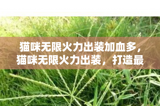 猫咪无限火力出装加血多,猫咪无限火力出装,打造最强辅助的秘诀 猫咪无限火力出装加血多,猫咪无限火力出装,打造最强辅助的秘诀