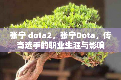 张宁 dota2，张宁Dota，传奇选手的职业生涯与影响
