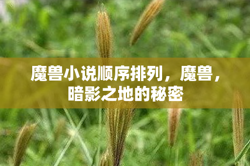 魔兽小说顺序排列，魔兽，暗影之地的秘密