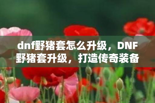 dnf野猪套怎么升级,DNF野猪套升级,打造传奇装备的不朽传奇 dnf野猪套怎么升级,DNF野猪套升级,打造传奇装备的不朽传奇