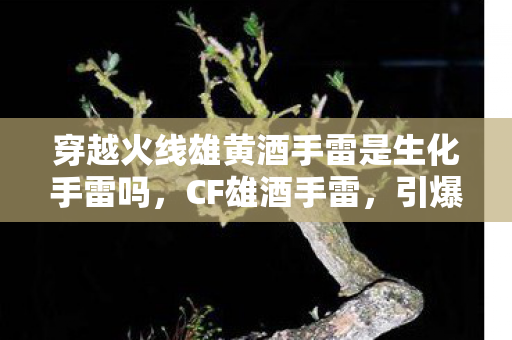 穿越火线雄黄酒手雷是生化手雷吗,CF雄酒手雷,引爆战场的新利器 穿越火线雄黄酒手雷是生化手雷吗,CF雄酒手雷,引爆战场的新利器