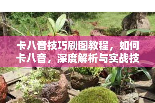 卡八音技巧刷图教程,如何卡八音,深度解析与实战技巧 卡八音技巧刷图教程,如何卡八音,深度解析与实战技巧