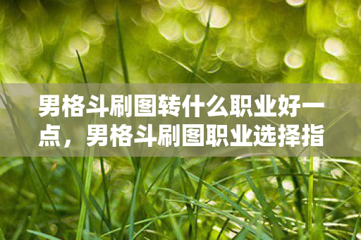 男格斗刷图转什么职业好一点,男格斗刷图职业选择指南 男格斗刷图转什么职业好一点,男格斗刷图职业选择指南