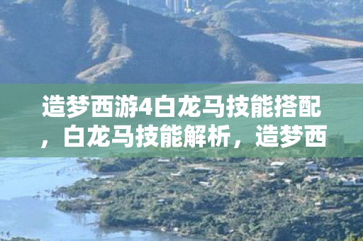 造梦西游4白龙马技能搭配图片