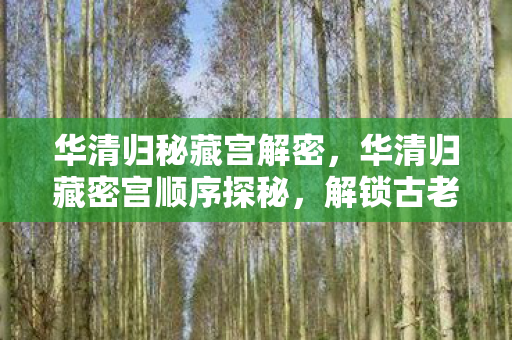 华清归秘藏宫解密,华清归藏密宫顺序探秘,解锁古老遗迹的奥秘 华清归秘藏宫解密,华清归藏密宫顺序探秘,解锁古老遗迹的奥秘