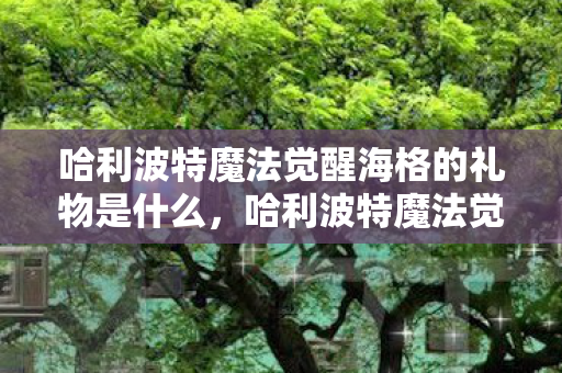 哈利波特魔法觉醒海格的礼物是什么,哈利波特魔法觉醒海格的礼物,探索魔法世界的惊喜 哈利波特魔法觉醒海格的礼物是什么,哈利波特魔法觉醒海格的礼物,探索魔法世界的惊喜