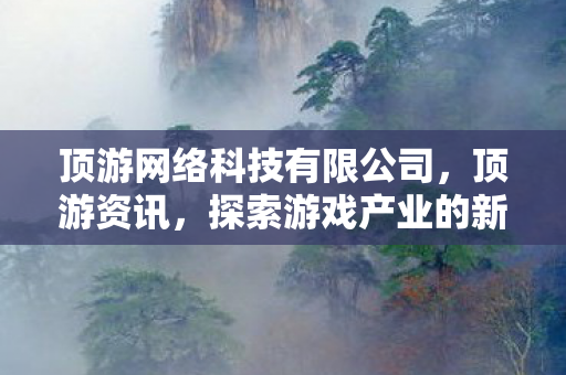 顶游网络科技有限公司，顶游资讯，探索游戏产业的新趋势与机遇