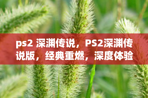 ps2 深渊传说，PS2深渊传说版，经典重燃，深度体验