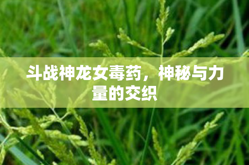 斗战神龙女毒药,神秘与力量的交织 斗战神龙女毒药,神秘与力量的交织