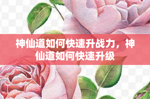 神仙道如何快速升战力,神仙道如何快速升级 神仙道如何快速升战力,神仙道如何快速升级