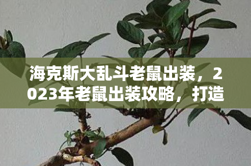 海克斯大乱斗老鼠出装,2023年老鼠出装攻略,打造最强ADC装备组合 海克斯大乱斗老鼠出装,2023年老鼠出装攻略,打造最强ADC装备组合