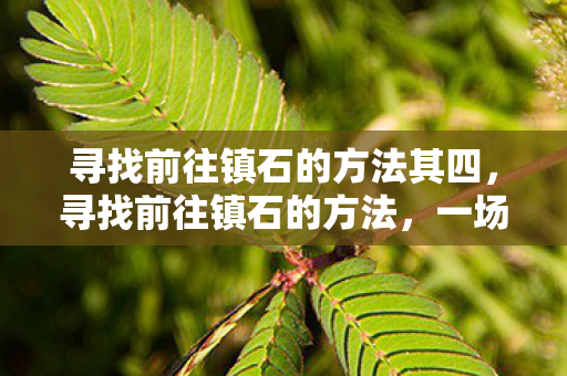 寻找前往镇石的方法其四,寻找前往镇石的方法,一场奇幻之旅的启程 寻找前往镇石的方法其四,寻找前往镇石的方法,一场奇幻之旅的启程