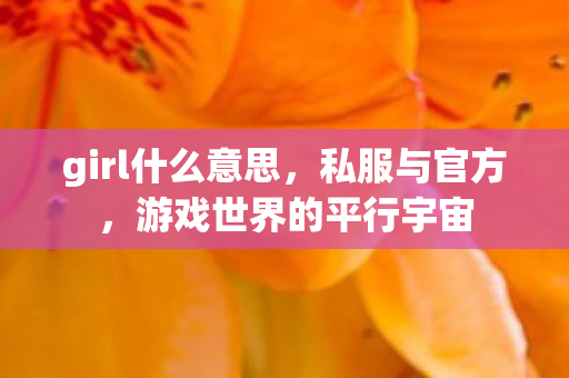 girl什么意思,私服与官方,游戏世界的平行宇宙 girl什么意思,私服与官方,游戏世界的平行宇宙