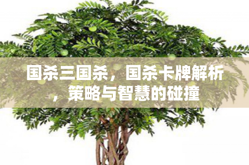 国杀三国杀,国杀卡牌解析,策略与智慧的碰撞 国杀三国杀,国杀卡牌解析,策略与智慧的碰撞
