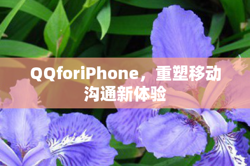 QQforiPhone,重塑移动沟通新体验 QQforiPhone,重塑移动沟通新体验