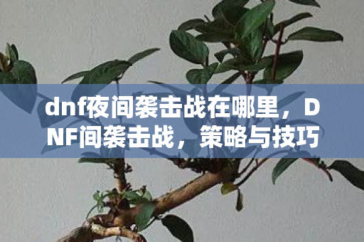 dnf夜间袭击战在哪里,DNF间袭击战,策略与技巧的深度剖析 dnf夜间袭击战在哪里,DNF间袭击战,策略与技巧的深度剖析