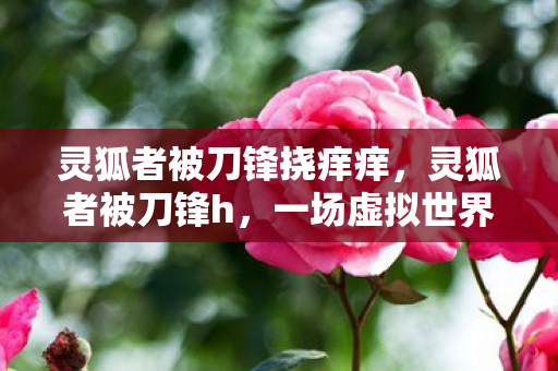 灵狐者被刀锋挠痒痒,灵狐者被刀锋h,一场虚拟世界的较量 灵狐者被刀锋挠痒痒,灵狐者被刀锋h,一场虚拟世界的较量
