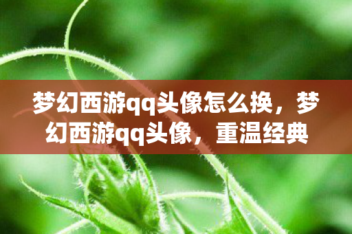 梦幻西游qq头像怎么换,梦幻西游qq头像,重温经典,回忆满满 梦幻西游qq头像怎么换,梦幻西游qq头像,重温经典,回忆满满