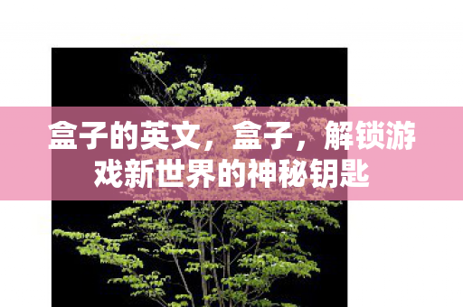 盒子的英文,盒子,解锁游戏新世界的神秘钥匙 盒子的英文,盒子,解锁游戏新世界的神秘钥匙