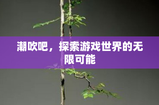 潮吹吧,探索游戏世界的无限可能 潮吹吧,探索游戏世界的无限可能