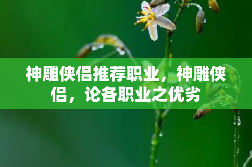 神雕侠侣推荐职业,神雕侠侣,论各职业之优劣 神雕侠侣推荐职业,神雕侠侣,论各职业之优劣