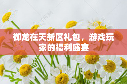 御龙在天新区礼包,游戏玩家的福利盛宴 御龙在天新区礼包,游戏玩家的福利盛宴