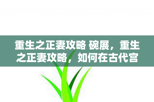 重生之正妻攻略 碗展,重生之正妻攻略,如何在古代宫廷中成为正妻 重生之正妻攻略 碗展,重生之正妻攻略,如何在古代宫廷中成为正妻
