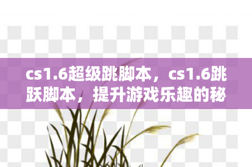 cs1.6超级跳脚本,cs1.6跳跃脚本,提升游戏乐趣的秘籍 cs1.6超级跳脚本,cs1.6跳跃脚本,提升游戏乐趣的秘籍