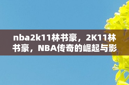 nba2k11林书豪,2K11林书豪,NBA传奇的崛起与影响 nba2k11林书豪,2K11林书豪,NBA传奇的崛起与影响